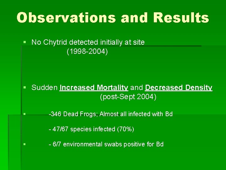 Observations and Results § No Chytrid detected initially at site (1998 -2004) § Sudden