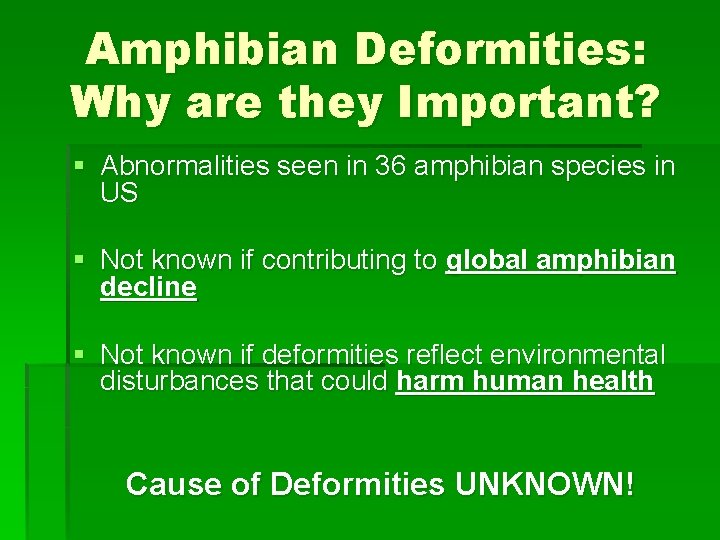 Amphibian Deformities: Why are they Important? § Abnormalities seen in 36 amphibian species in