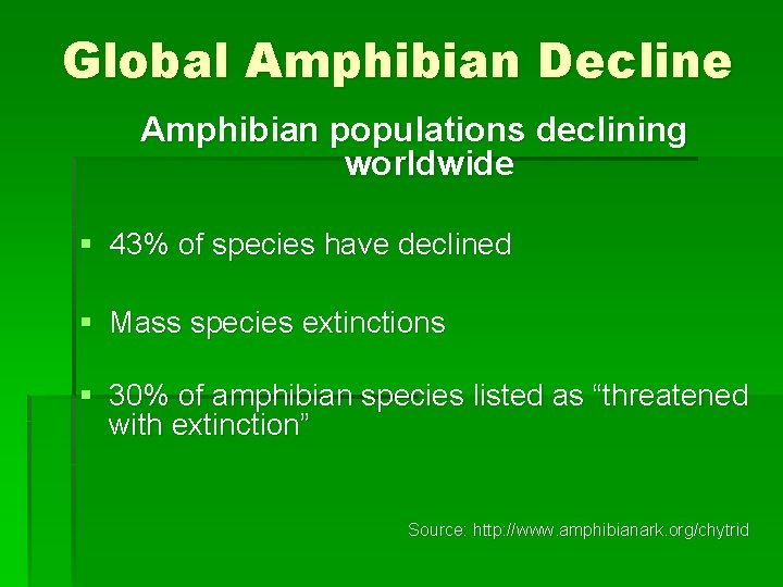 Global Amphibian Decline Amphibian populations declining worldwide § 43% of species have declined §