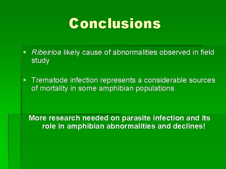 Conclusions § Ribeirioa likely cause of abnormalities observed in field study § Trematode infection