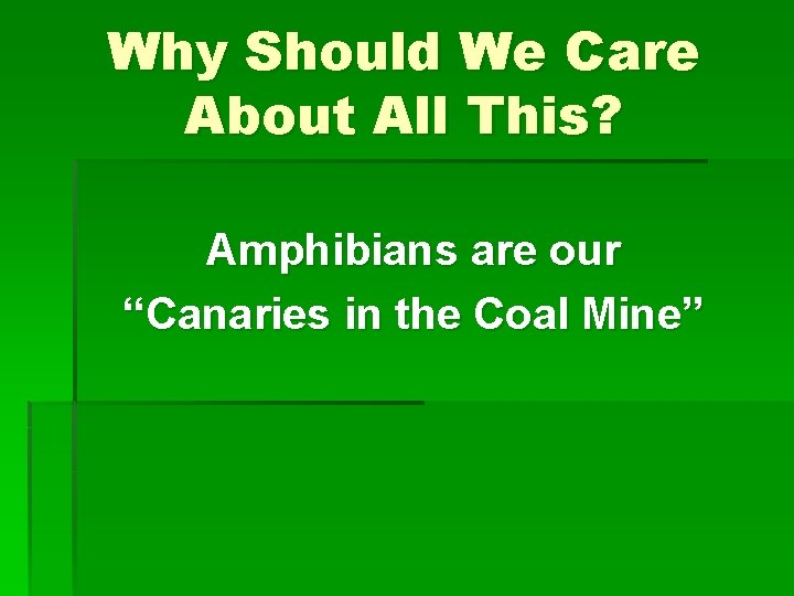 Why Should We Care About All This? Amphibians are our “Canaries in the Coal