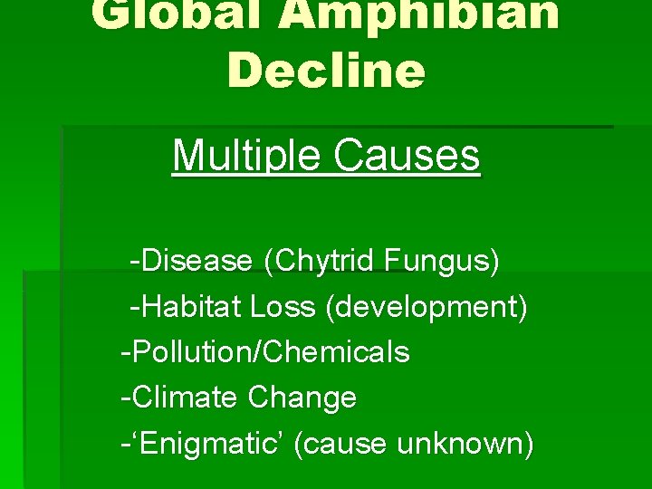 Global Amphibian Decline Multiple Causes -Disease (Chytrid Fungus) -Habitat Loss (development) -Pollution/Chemicals -Climate Change
