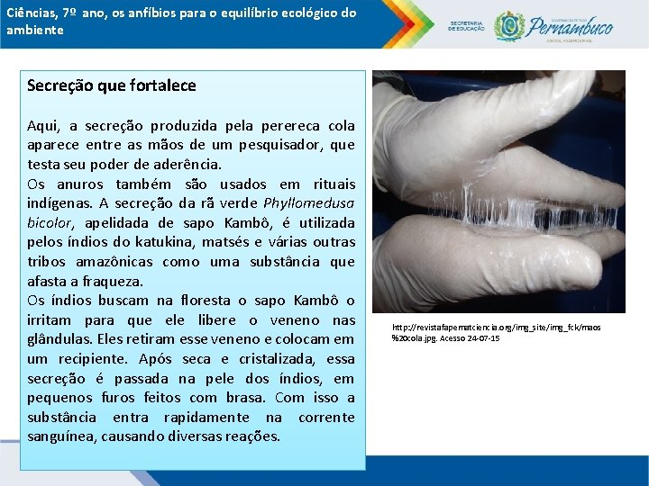 Ciências, 7º ano, os anfíbios para o equilíbrio ecológico do ambiente Secreção que fortalece