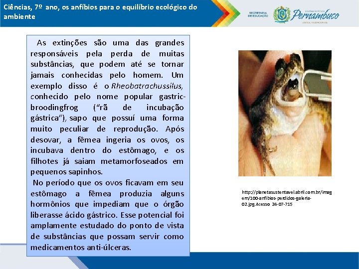 Ciências, 7º ano, os anfíbios para o equilíbrio ecológico do ambiente As extinções são