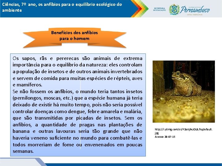 Ciências, 7º ano, os anfíbios para o equilíbrio ecológico do ambiente Benefícios dos anfíbios