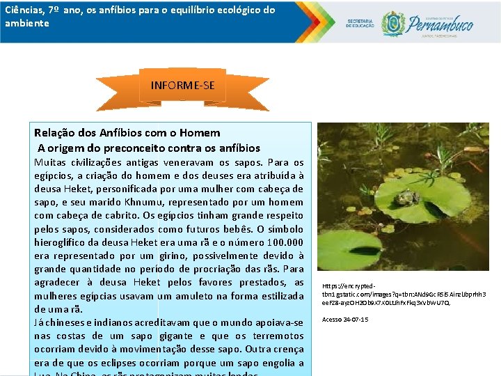 Ciências, 7º ano, os anfíbios para o equilíbrio ecológico do ambiente INFORME-SE Relação dos