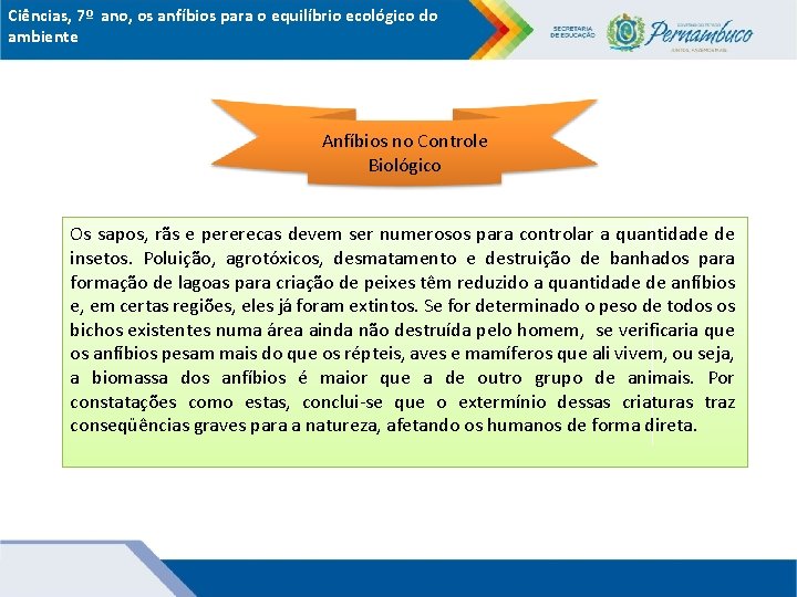 Ciências, 7º ano, os anfíbios para o equilíbrio ecológico do ambiente Anfíbios no Controle