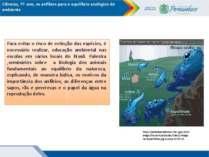 Ciências, 7º ano, os anfíbios para o equilíbrio ecológico do ambiente Para evitar o