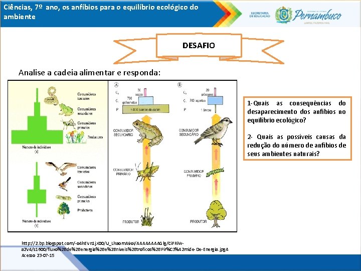 Ciências, 7º ano, os anfíbios para o equilíbrio ecológico do ambiente DESAFIO Analise a