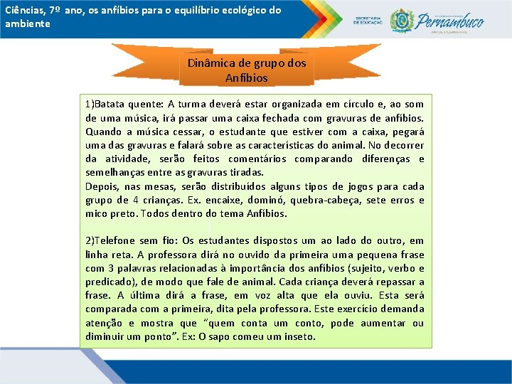 Ciências, 7º ano, os anfíbios para o equilíbrio ecológico do ambiente Dinâmica de grupo