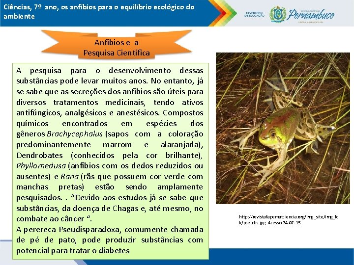 Ciências, 7º ano, os anfíbios para o equilíbrio ecológico do ambiente Anfíbios e a