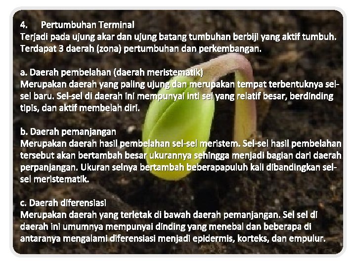 4. Pertumbuhan Terminal Terjadi pada ujung akar dan ujung batang tumbuhan berbiji yang aktif