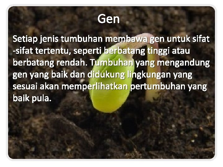 Gen Setiap jenis tumbuhan membawa gen untuk sifat -sifat tertentu, seperti berbatang tinggi atau