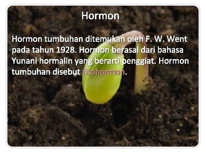 Hormon tumbuhan ditemukan oleh F. W. Went pada tahun 1928. Hormon berasal dari bahasa