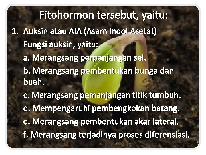 Fitohormon tersebut, yaitu: 1. Auksin atau AIA (Asam Indol Asetat) Fungsi auksin, yaitu: a.