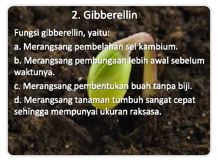 2. Gibberellin Fungsi gibberellin, yaitu: a. Merangsang pembelahan sel kambium. b. Merangsang pembungaan lebih