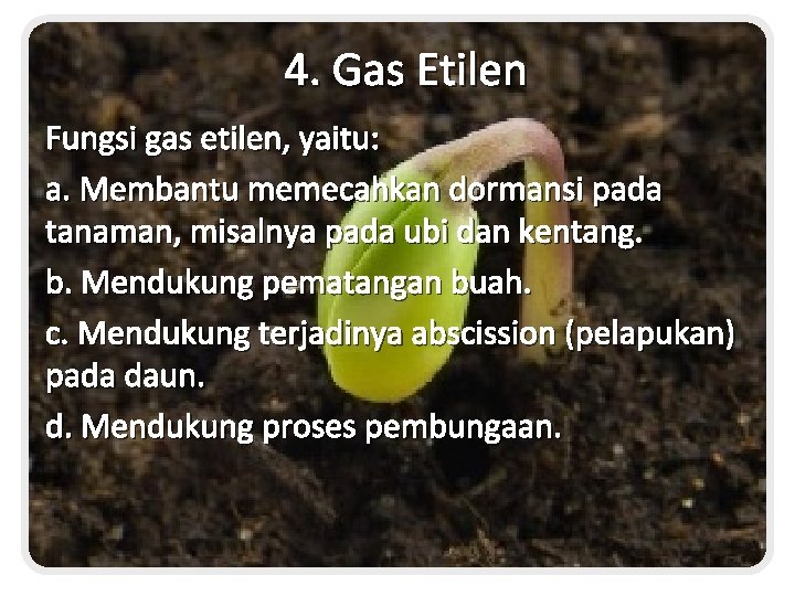 4. Gas Etilen Fungsi gas etilen, yaitu: a. Membantu memecahkan dormansi pada tanaman, misalnya