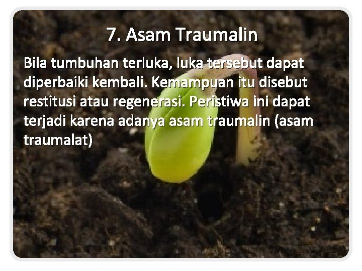 7. Asam Traumalin Bila tumbuhan terluka, luka tersebut dapat diperbaiki kembali. Kemampuan itu disebut