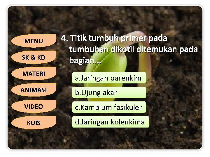 MENU SK & KD 4. Titik tumbuh primer pada tumbuhan dikotil ditemukan pada bagian.