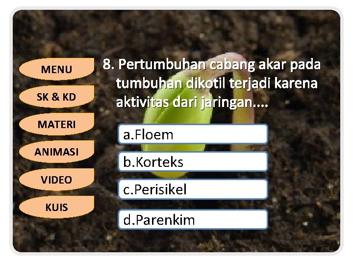 MENU SK & KD MATERI ANIMASI VIDEO KUIS 8. Pertumbuhan cabang akar pada tumbuhan