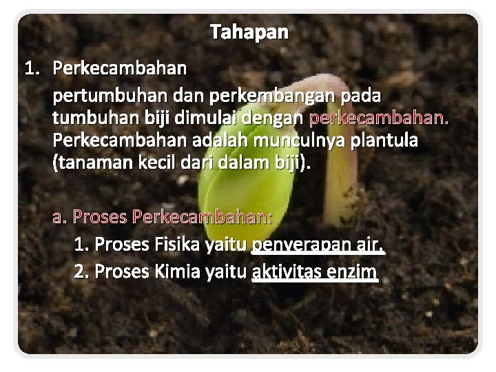 Tahapan 1. Perkecambahan pertumbuhan dan perkembangan pada tumbuhan biji dimulai dengan perkecambahan. Perkecambahan adalah