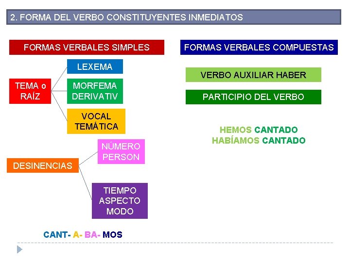 2. FORMA DEL VERBO CONSTITUYENTES INMEDIATOS FORMAS VERBALES SIMPLES LEXEMA TEMA o RAÍZ MORFEMA