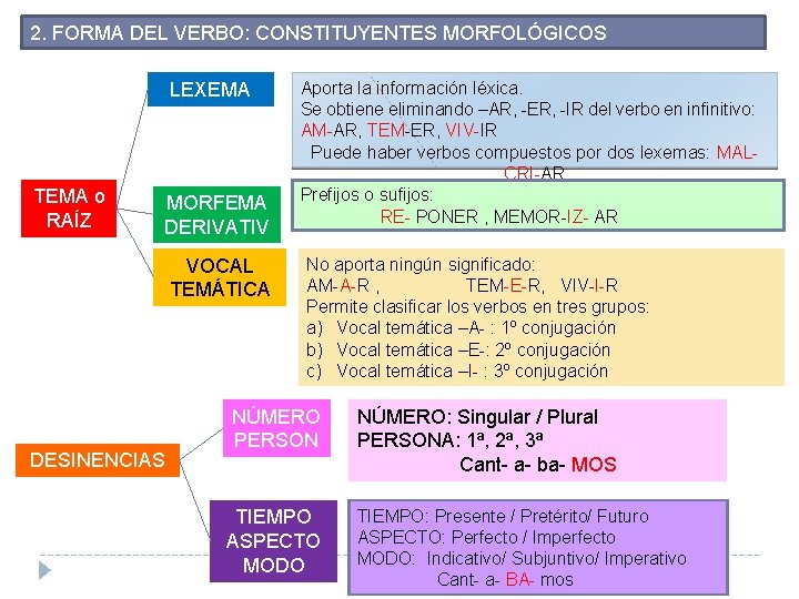 2. FORMA DEL VERBO: CONSTITUYENTES MORFOLÓGICOS LEXEMA TEMA o RAÍZ MORFEMA DERIVATIV O VOCAL