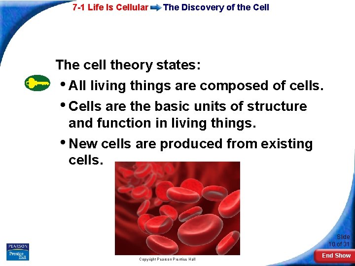 7 -1 Life Is Cellular The Discovery of the Cell The cell theory states: