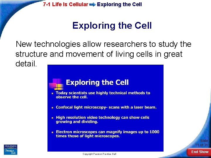 7 -1 Life Is Cellular Exploring the Cell New technologies allow researchers to study