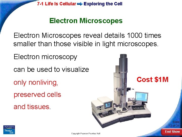 7 -1 Life Is Cellular Exploring the Cell Electron Microscopes reveal details 1000 times