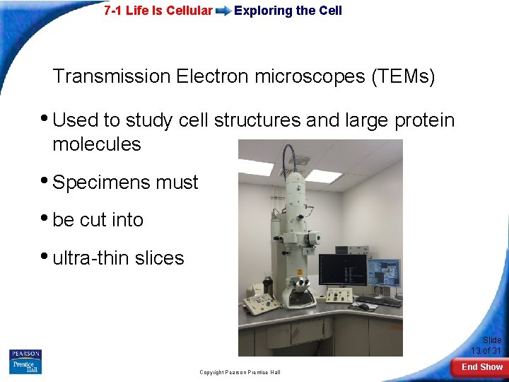 7 -1 Life Is Cellular Exploring the Cell Transmission Electron microscopes (TEMs) • Used