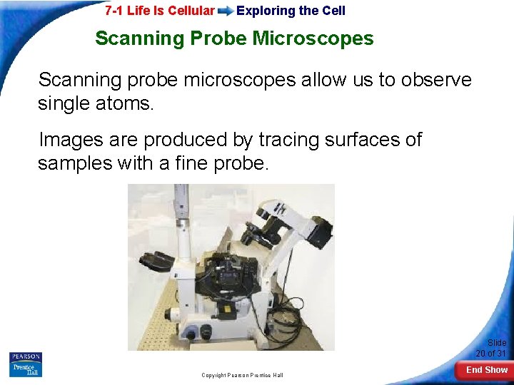 7 -1 Life Is Cellular Exploring the Cell Scanning Probe Microscopes Scanning probe microscopes