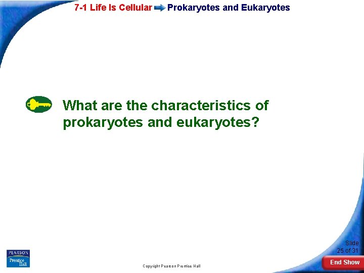 7 -1 Life Is Cellular Prokaryotes and Eukaryotes What are the characteristics of prokaryotes