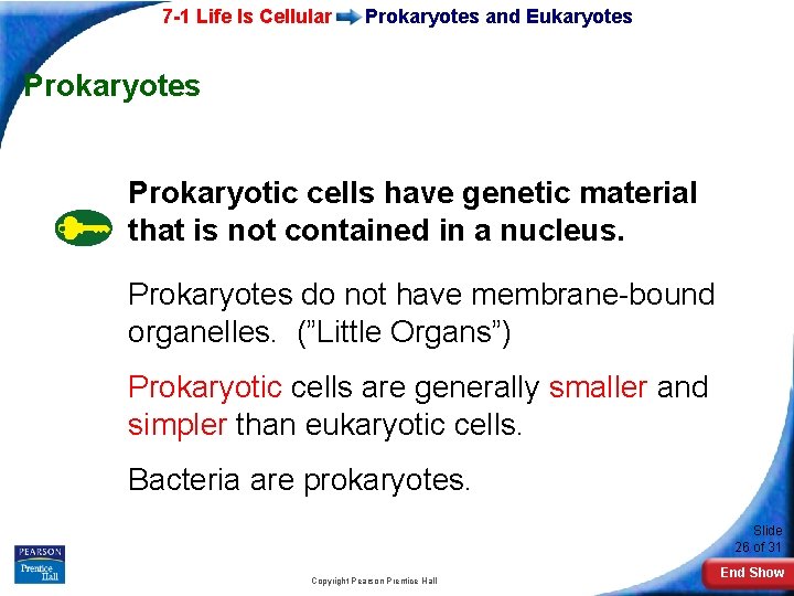 7 -1 Life Is Cellular Prokaryotes and Eukaryotes Prokaryotes Prokaryotic cells have genetic material