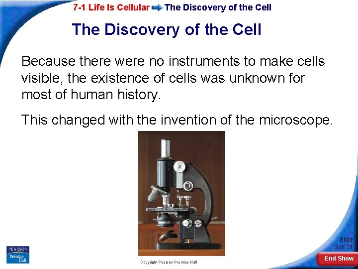 7 -1 Life Is Cellular The Discovery of the Cell The Discovery of the