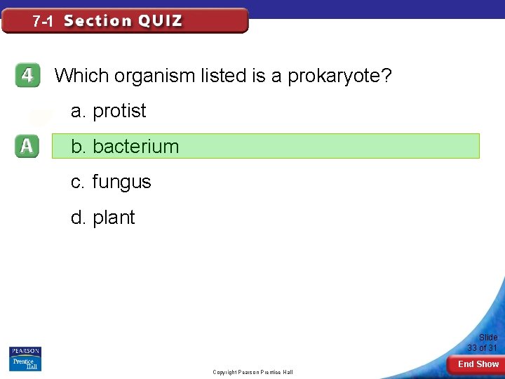 7 -1 Which organism listed is a prokaryote? a. protist b. bacterium c. fungus