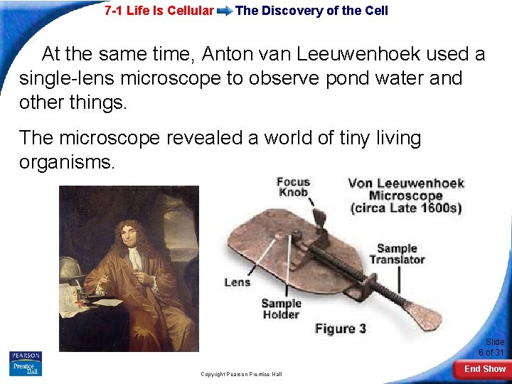 7 -1 Life Is Cellular The Discovery of the Cell At the same time,