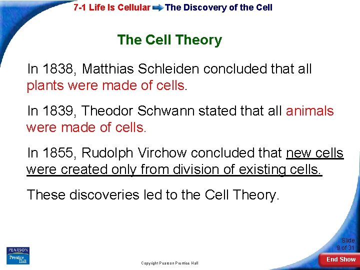 7 -1 Life Is Cellular The Discovery of the Cell The Cell Theory In