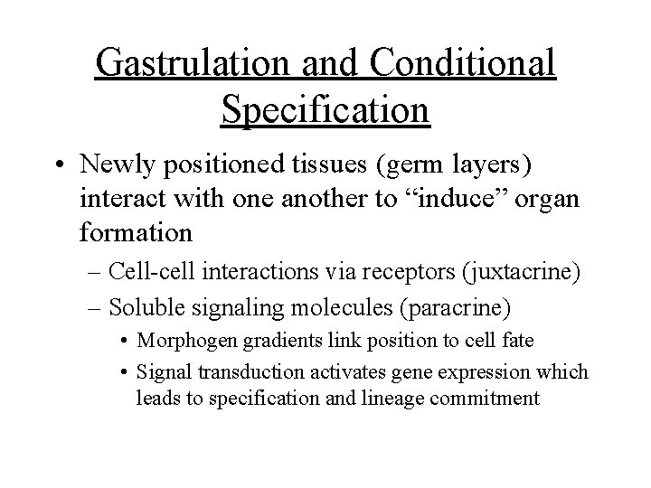 Gastrulation and Conditional Specification • Newly positioned tissues (germ layers) interact with one another