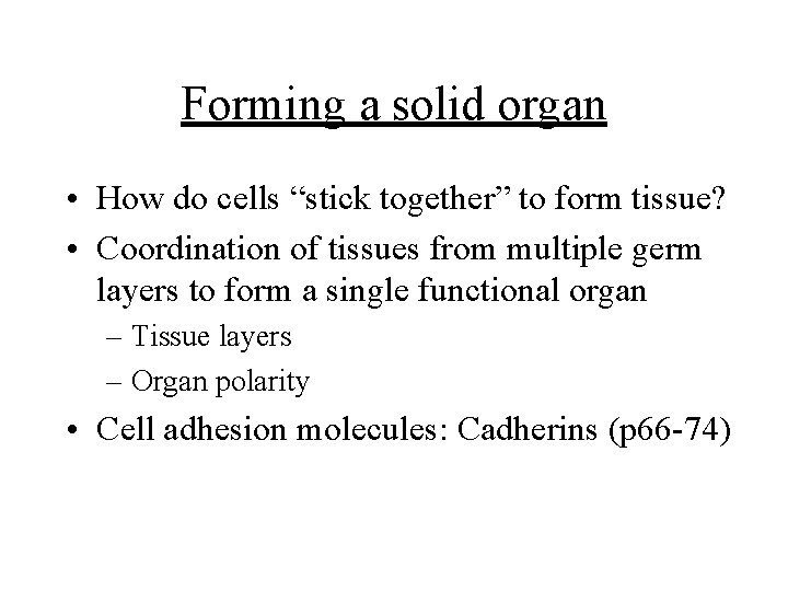 Forming a solid organ • How do cells “stick together” to form tissue? •