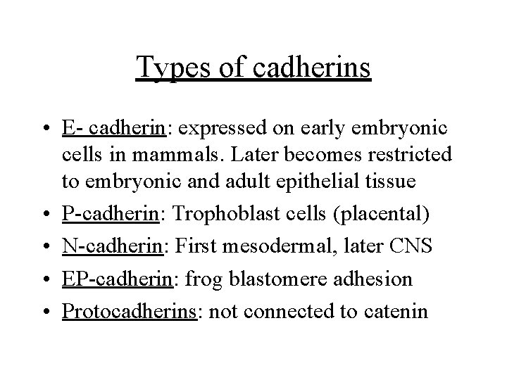 Types of cadherins • E- cadherin: expressed on early embryonic cells in mammals. Later
