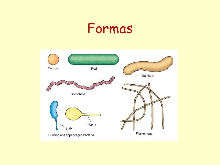 Formas 