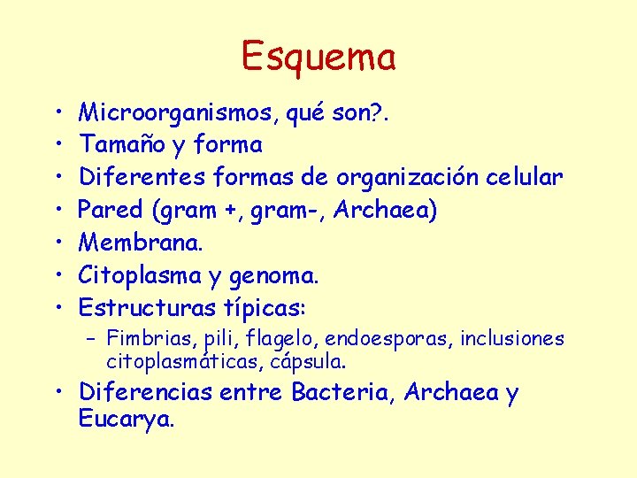 Esquema • • Microorganismos, qué son? . Tamaño y forma Diferentes formas de organización