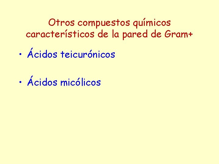 Otros compuestos químicos característicos de la pared de Gram+ • Ácidos teicurónicos • Ácidos