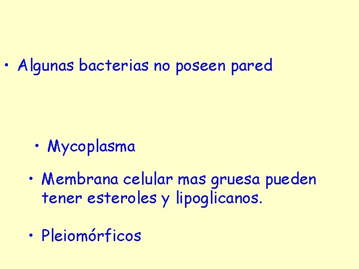  • Algunas bacterias no poseen pared • Mycoplasma • Membrana celular mas gruesa