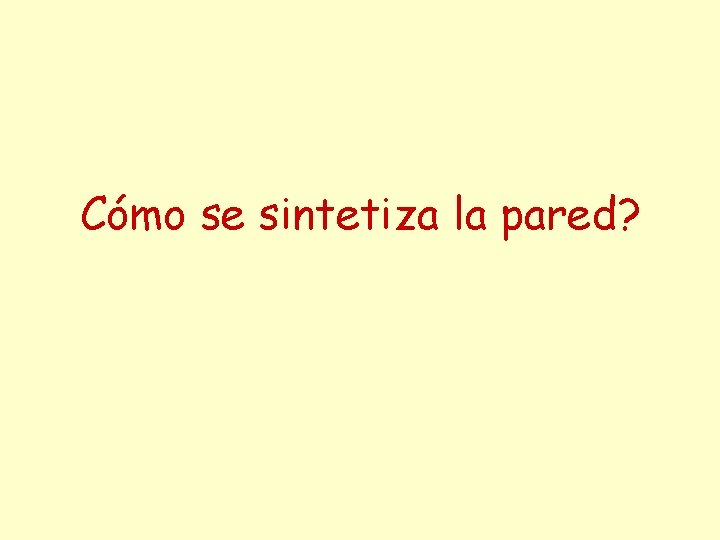 Cómo se sintetiza la pared? 