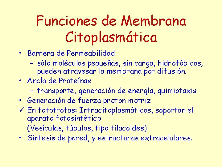 Funciones de Membrana Citoplasmática • Barrera de Permeabilidad – sólo moléculas pequeñas, sin carga,