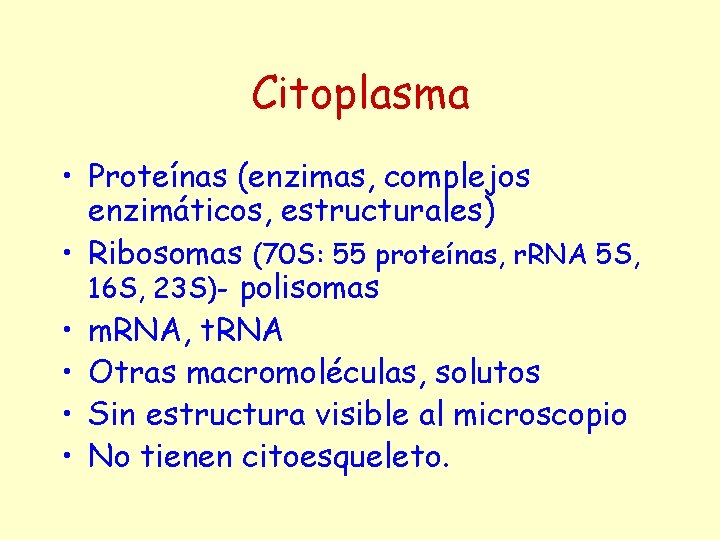 Citoplasma • Proteínas (enzimas, complejos enzimáticos, estructurales) • Ribosomas (70 S: 55 proteínas, r.