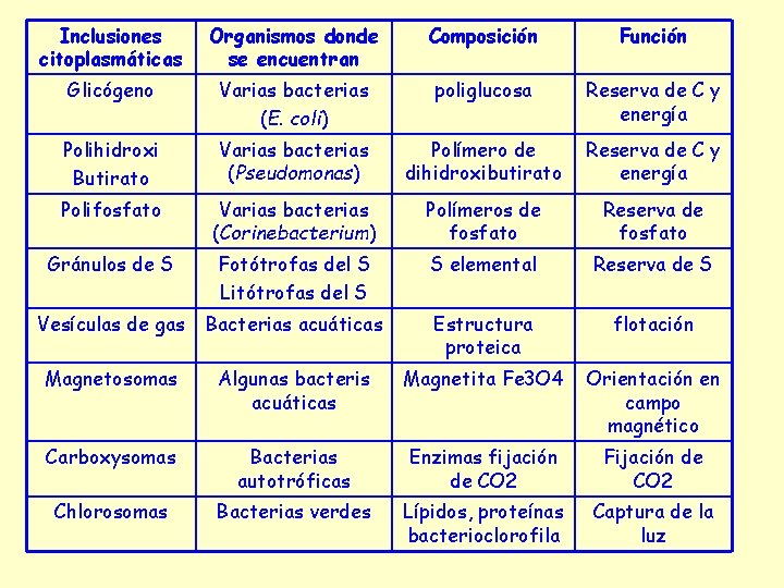 Inclusiones citoplasmáticas Organismos donde se encuentran Composición Función Glicógeno Varias bacterias (E. coli) poliglucosa