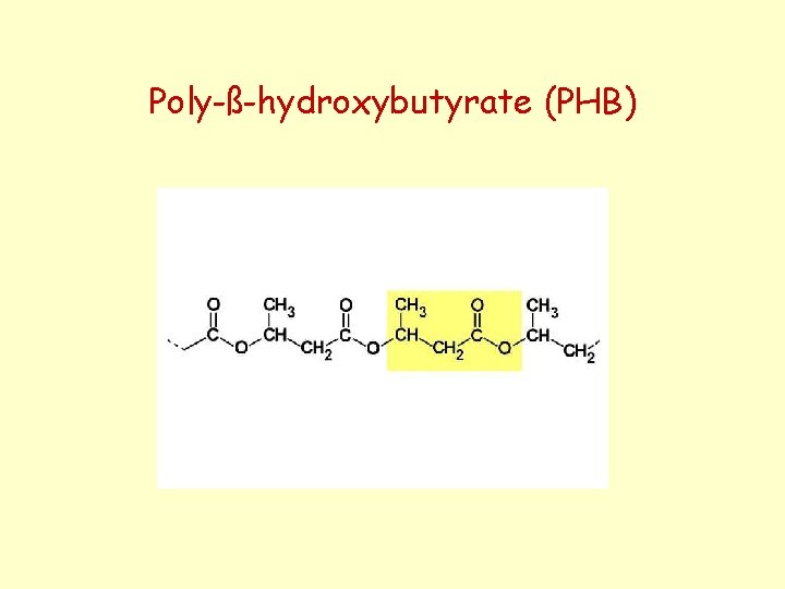 Poly-ß-hydroxybutyrate (PHB) 